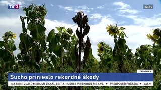 Farmári v Rakúsku počítajú škody, za slabú úrodu môže sucho