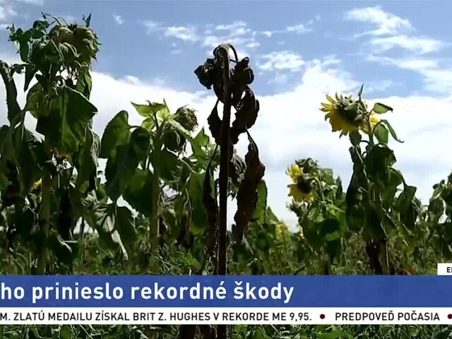 Farmári v Rakúsku počítajú škody, za slabú úrodu môže sucho