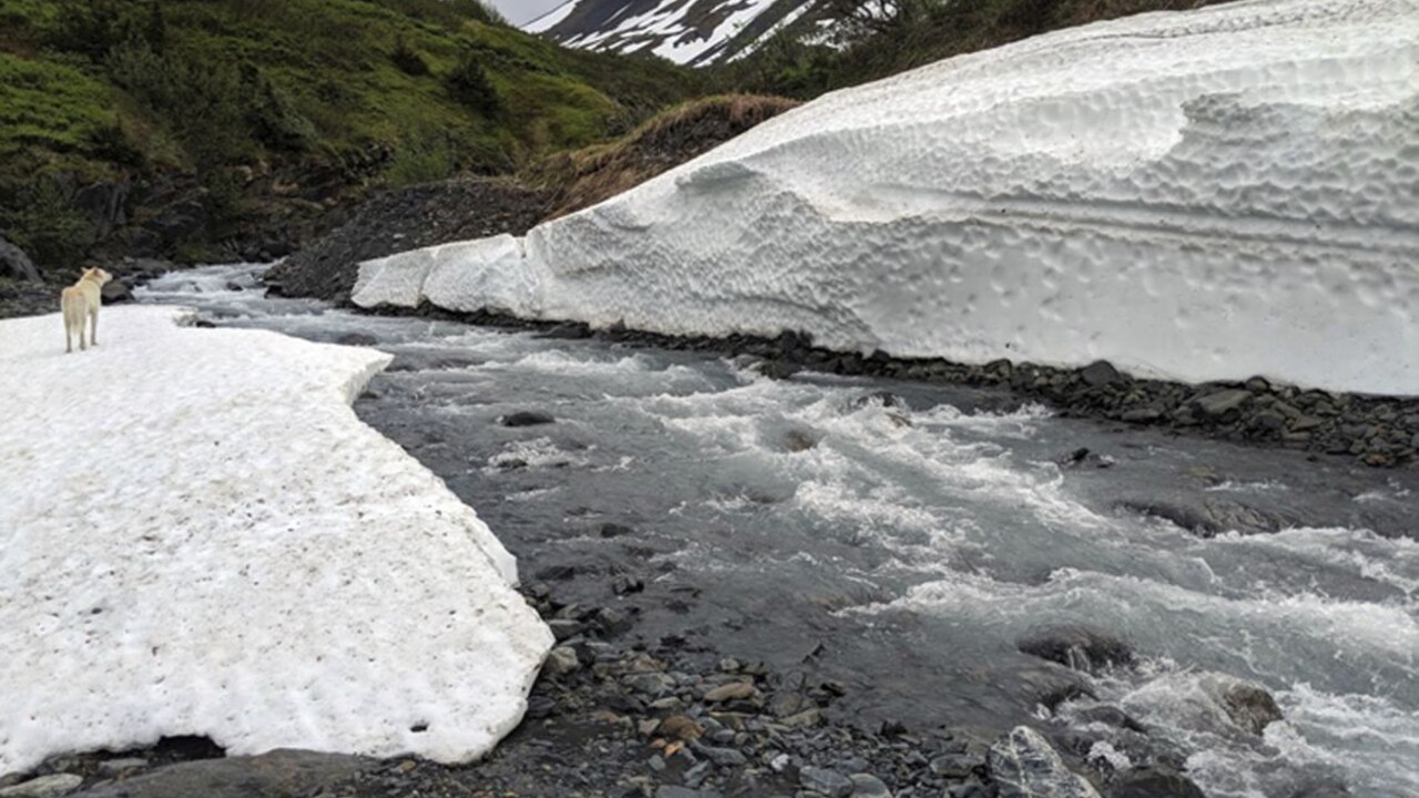 Aljašku zasiahlo najsilnejšie zemetrasenie v histórii