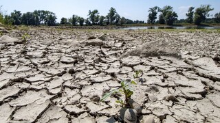 Zažívame najhoršie sucho za posledných päťsto rokov. V Európe ubúdajú základné plodiny