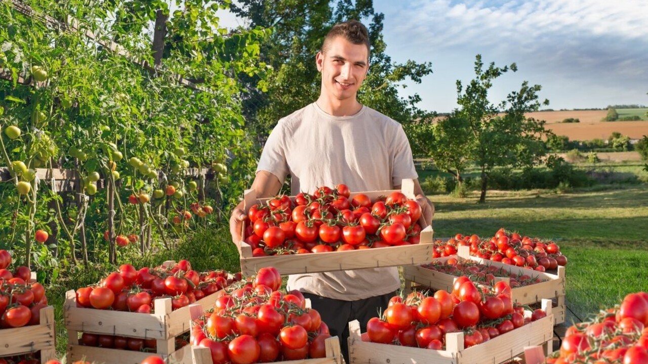 Slováci nakupujú viac slovenskej zeleniny a ovocia ako vlani