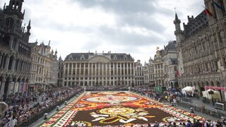 Viac ako 500-tisíc kvetov rozvoňalo Brusel, kvetinový koberec láka turistov