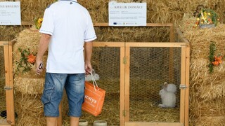 Jednou z hlavných tém Agrokomplexu je podpora slovenských výrobkov