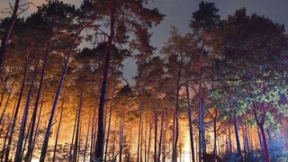 Zásah v horiacom lese komplikuje munícia, evakuovali stovky ľudí