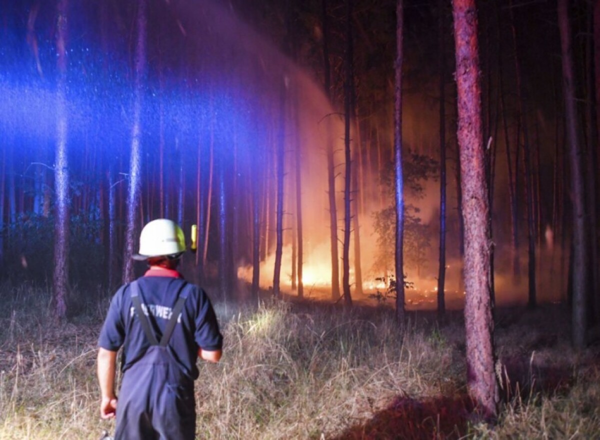 germany-wildfires-42506-7e665ed18879476c93c2fac4632df3ea_fb4f0b4e.jpg