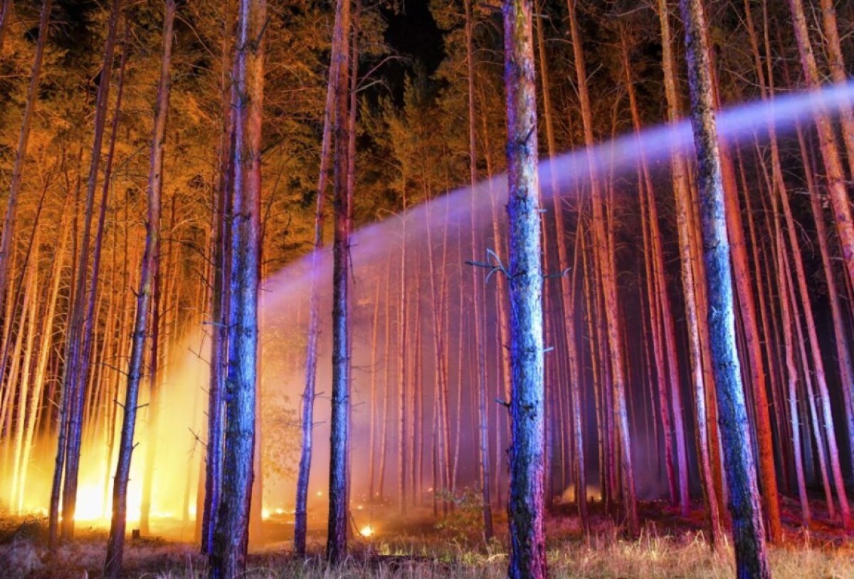 germany-wildfires-71226-c75826934fe64bdb9a734a97f892be87_46464d70.jpg