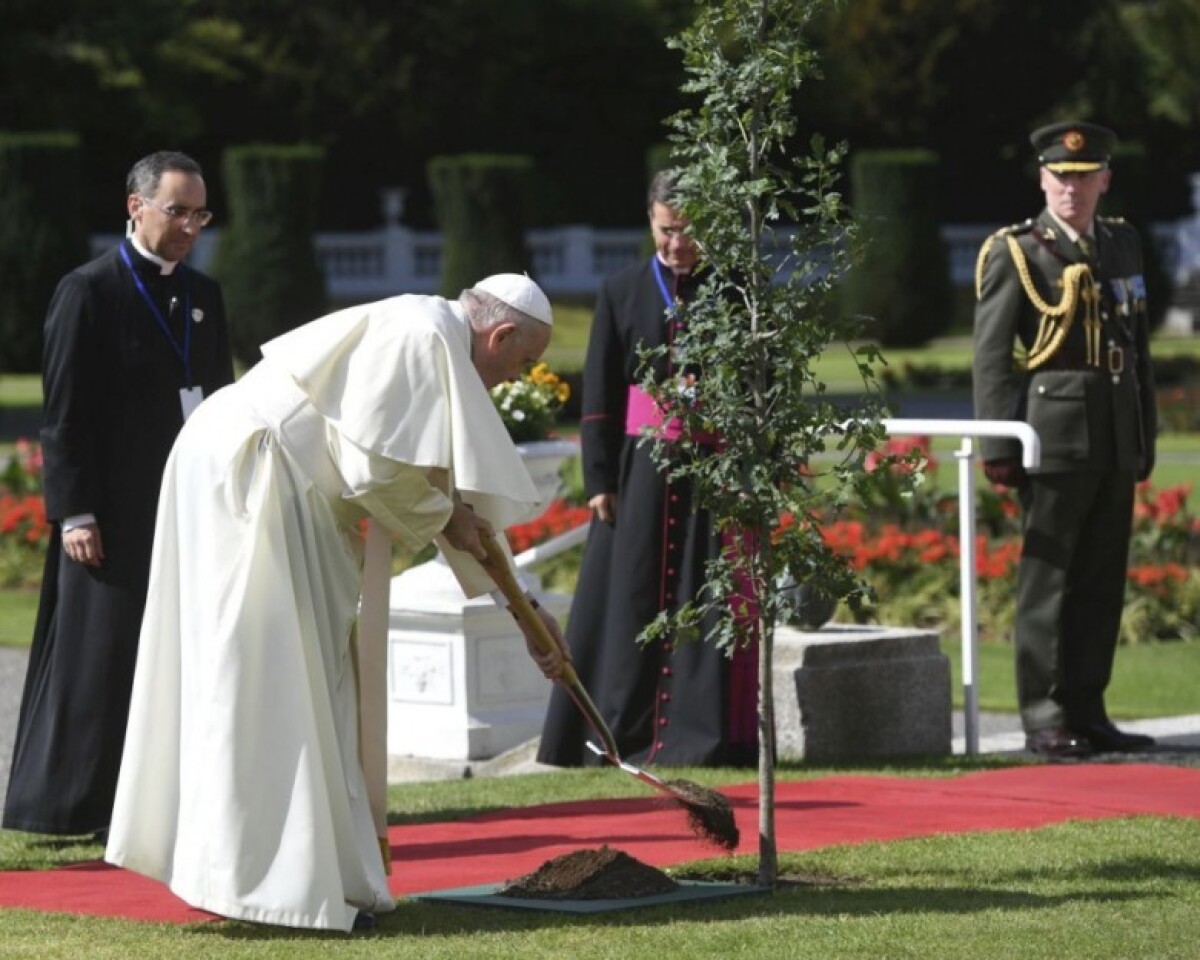 ireland-pope-62659-d5631e96691c4a51ba2e1df3754a5b1e_aaa75739.jpg
