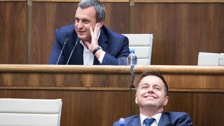 Nemáme námietky voči cestovným poukazom, vyhlásil Kažimír