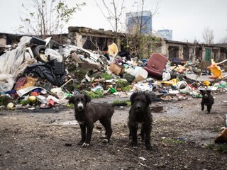 Pokuta každý deň rastie. Riešte skládky, vyzýva SaS envirorezort