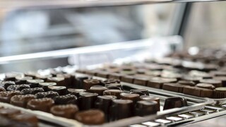 Čokoláde hrozí zánik, odborníci varujú pred úbytkom kakaovníkov