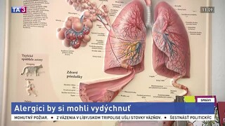 Alergici trpia najmä v mestách, problémom je neudržiavaná zeleň