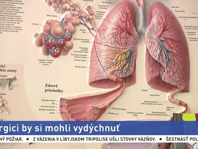 Alergici trpia najmä v mestách, problémom je neudržiavaná zeleň