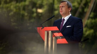 SNS nerieši prezidentské voľby, prioritou sú jesenné komunálne