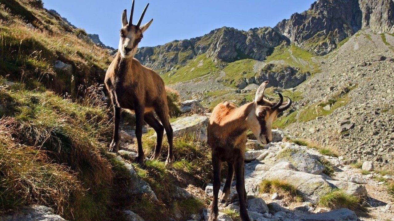 Tematické rodinné pobyty v Tatrách v Hoteli Slovan