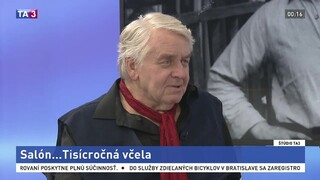 ŠTÚDIO TA3: Spisovateľ P. Jaroš a publicista S. Bachleda o románe Tisícročná včela