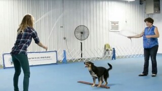 Rekordy pre rok 2019 / Rubikova kocka trochu inak