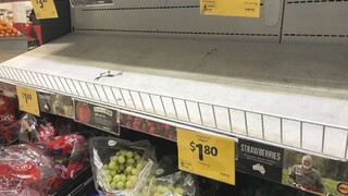 Ihly v ovocí stále strašia, z pultov sťahujú šijacie potreby