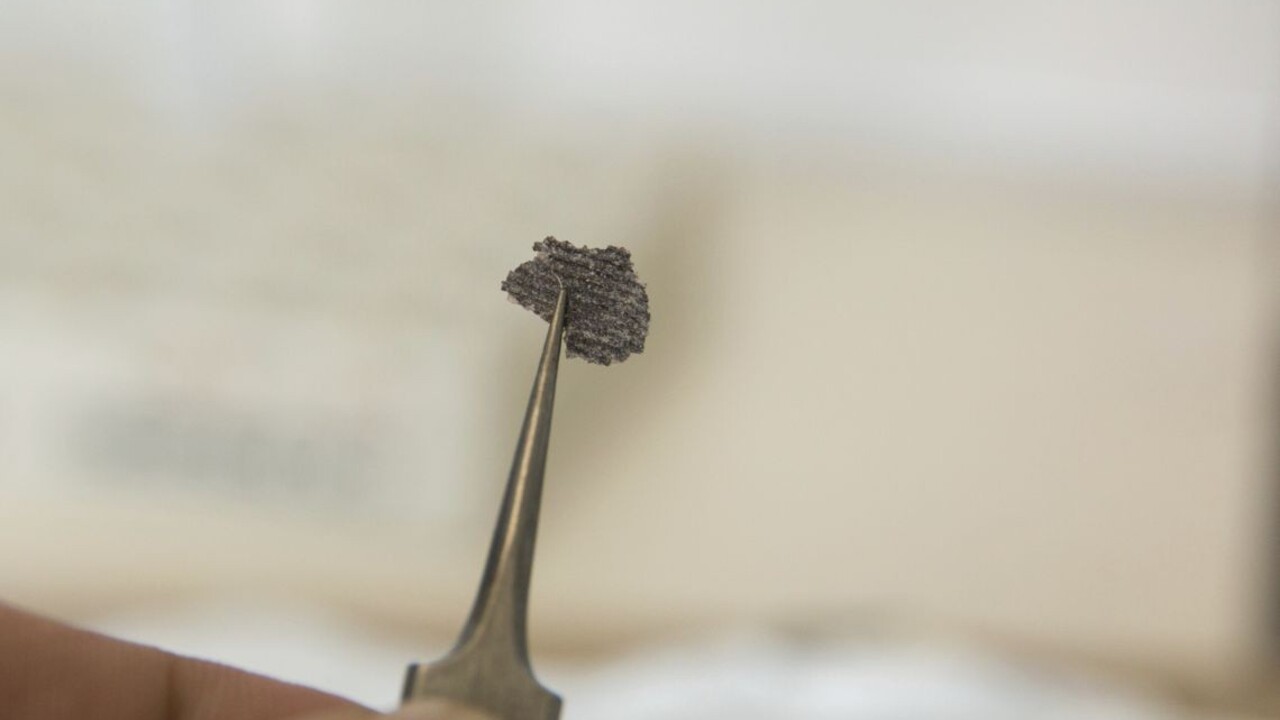 Záhada vyriešená. Vedci odhalili najstaršieho živočícha na Zemi