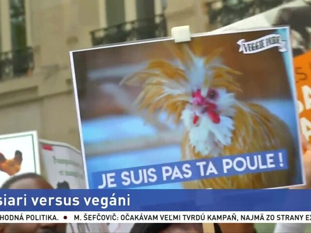 Francúzski vegáni bojujú s mäsiarmi, rozbíjajú výklady i kreslia graffiti