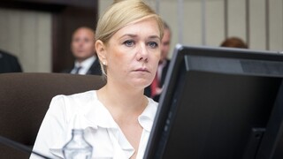 Saková sa stretne v Nemecku so Seehoferom, budú hovoriť o únose