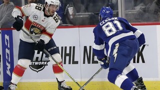 NHL: Tímy Daňa a Pánika neuspeli, body zbierali Černák a Jaroš