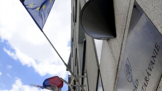 ÚVO bude v Bruseli zastupovať dlhoročná diplomatka Coleová