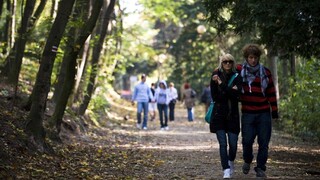 Premenlivé počasie sa končí, na Slovensko prichádza babie leto