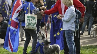 Briti žiadali nové referendum o brexite, boja sa o svojich psov