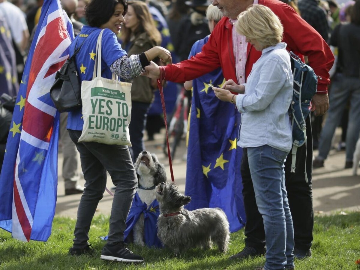 Briti žiadali nové referendum o brexite, boja sa o svojich psov