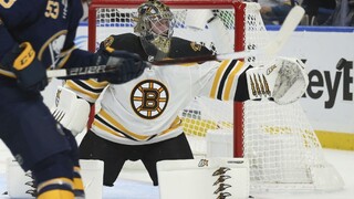 NHL: Boston si pripísal ďalšie víťazstvo, strely blokoval Halák