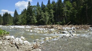 Tatry a Pieniny čakajú zmeny, spravovať ich možno bude jedna osoba