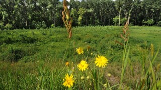 Koniec postrekom i stavbám. Poslanci schválili Lex Žitný ostrov