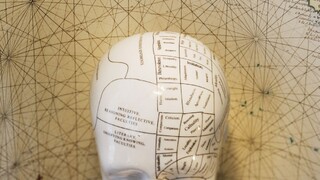 Neviete si vybrať z jedálneho lístka? Možnosti môžu zahltiť mozog