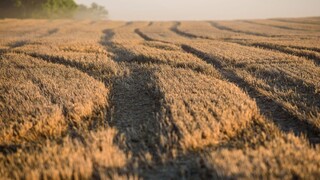 V EÚ majú vzniknúť systémy riadenia rizík v poľnohospodárstve