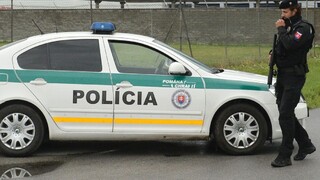 Chcel uniesť syna najbohatšej Slovenky, skončil s tvrdým trestom