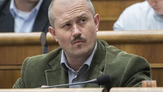 Voľbu sudcov nezmenili, koalícia a opozícia si vyčítajú ĽSNS