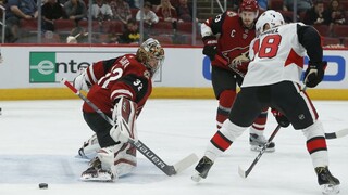 NHL: Pánik pomohol Coyotes k triumfu, uspel aj Boston s Halákom