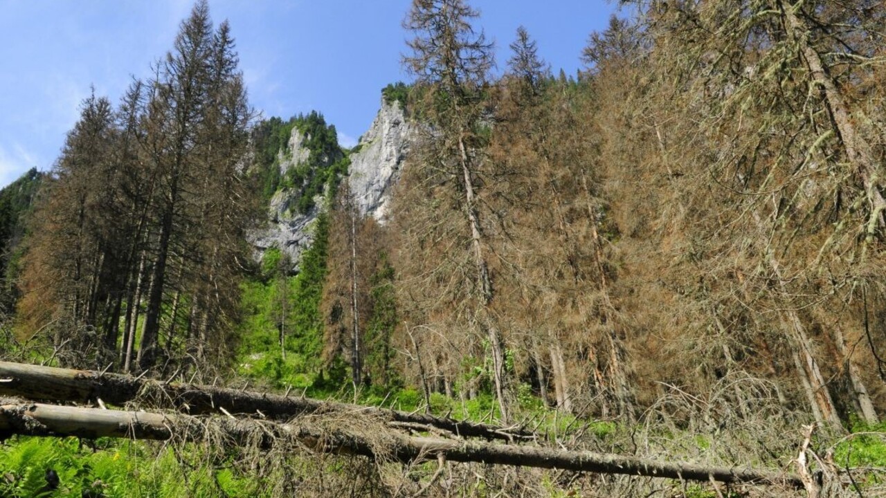 Vietor vyvrátil tisícky stromov, turistov vyzývajú k opatrnosti