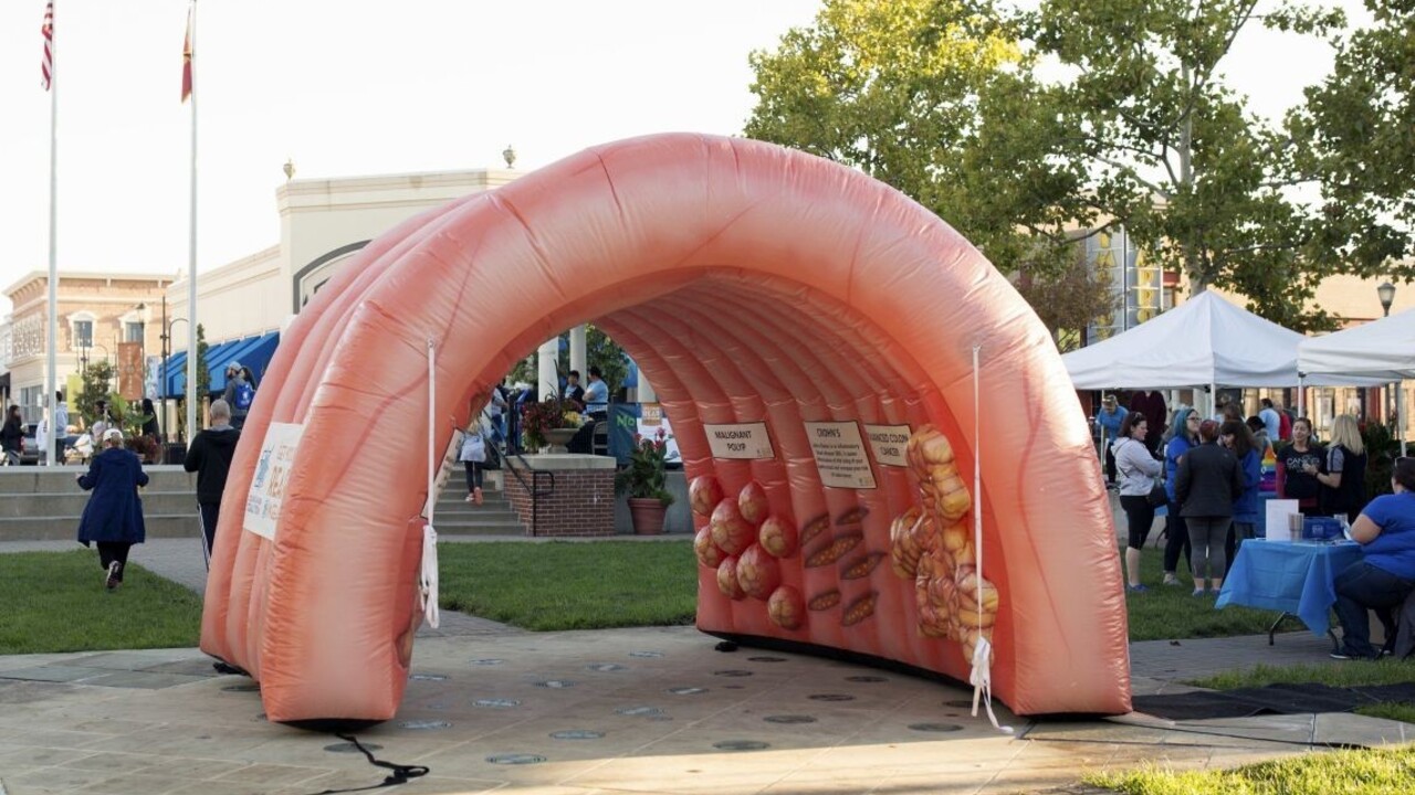 Nevšedný úspech polície, našla ukradnuté hrubé črevo