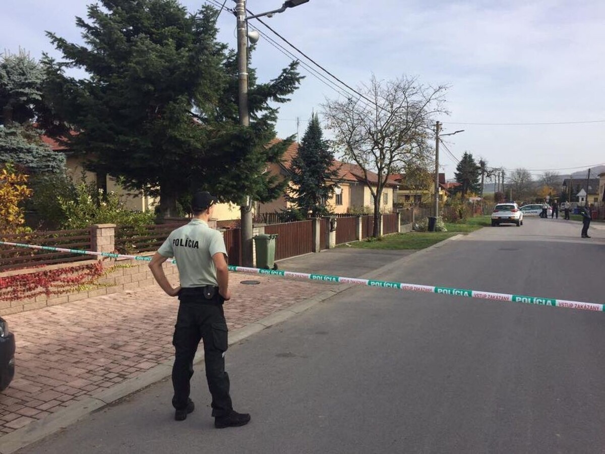 Po vyčíňaní sekerou zomrela žena, mladíka obvinili z vraždy