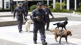 V boji proti gangom použijú kuriózne opatrenia. Vypnú elektrinu