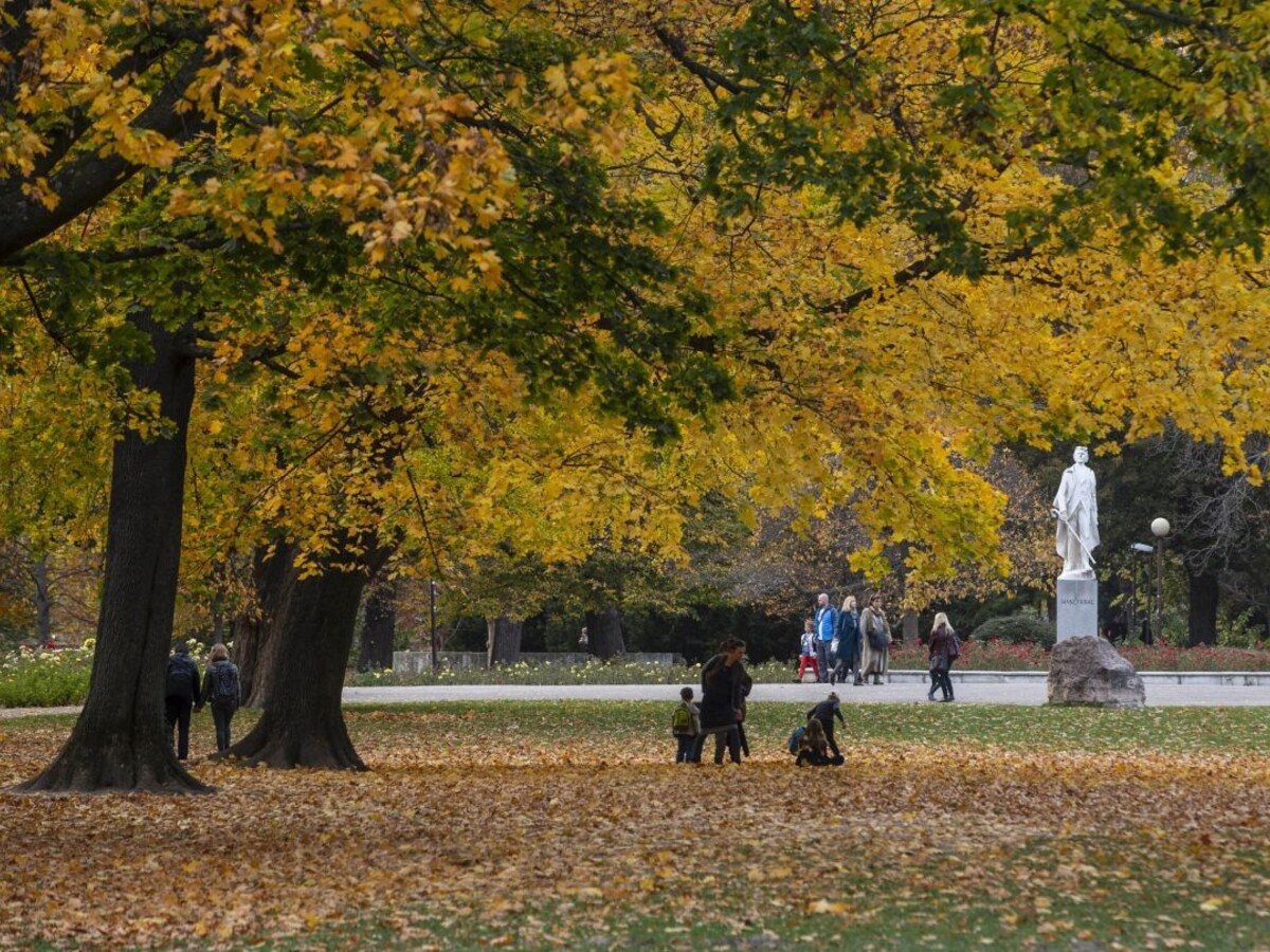 Jeseň lístie park príroda 1140 px (SITA/Braňo Bibel)