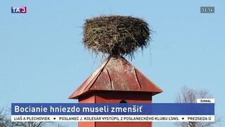 Ľudí ohrozovalo bocianie hniezdo, museli ho odstrániť