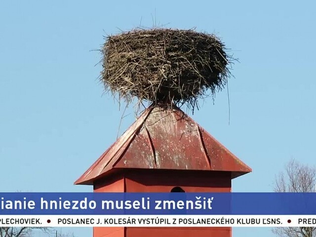 Ľudí ohrozovalo bocianie hniezdo, museli ho odstrániť
