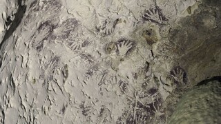 Vedci objavili najstaršiu jaskynnú maľbu. Ukázali, čo zobrazuje
