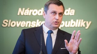 Danko ako prvý slovenský politik vystúpi v pléne parlamentu ČR