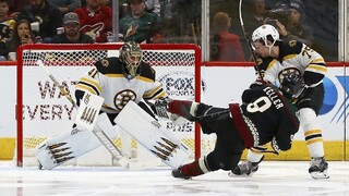 NHL: Halák vychytal triumf Bostonu, Černák a Tatar asistovali