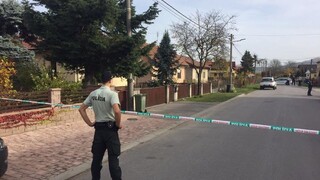 V kauze vraždy Mišenku opäť padol verdikt, Netvor neuspel