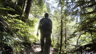 Rekreačné poukazy opätovne schválili, fungovať začnú už čoskoro