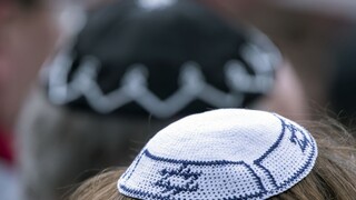 Dankov návrh uspel, plénum odobrilo definíciu antisemitizmu
